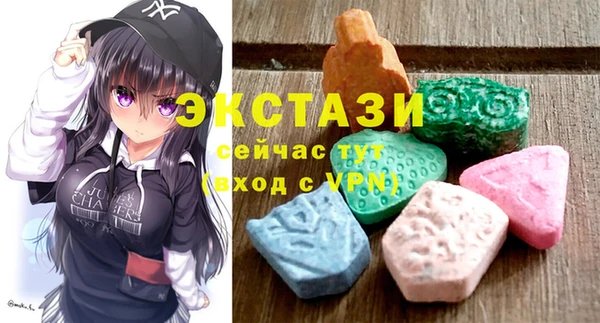 СК Богородицк